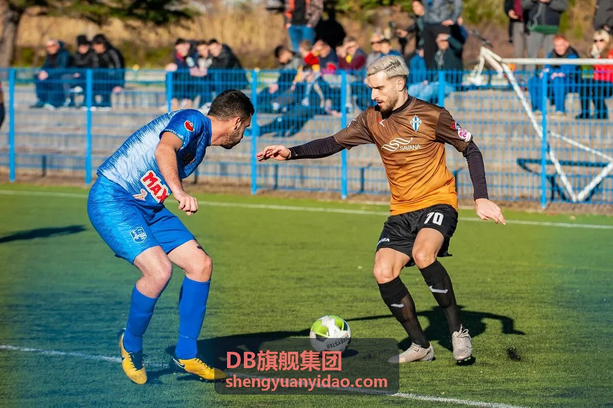 DB旗舰集团战略咨询框架
